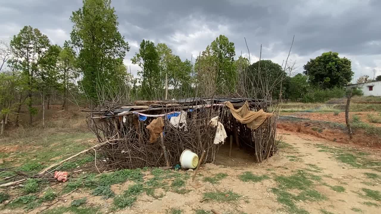 Una casa con tetto di paglia fatta con rami d'albero in un villaggio nel Jharkhand, India, per il bestiame.