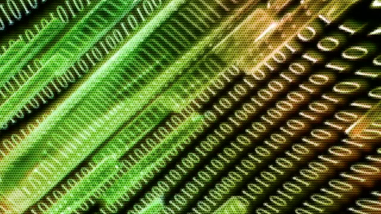 fondo animado en movimiento que muestra estilo de matriz palabras generadas al azar letras números fuentes caracteres y símbolos