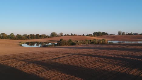 aerial view of an empty plowed field, blue sky, long shadows of trees and a small lake