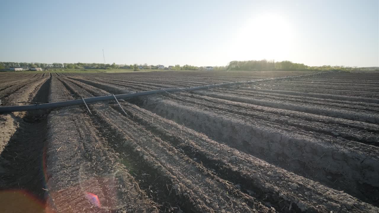 sistema de riego en tierras agrícolas. sistema de riego por goteo que ahorra agua que se utiliza en un campo.