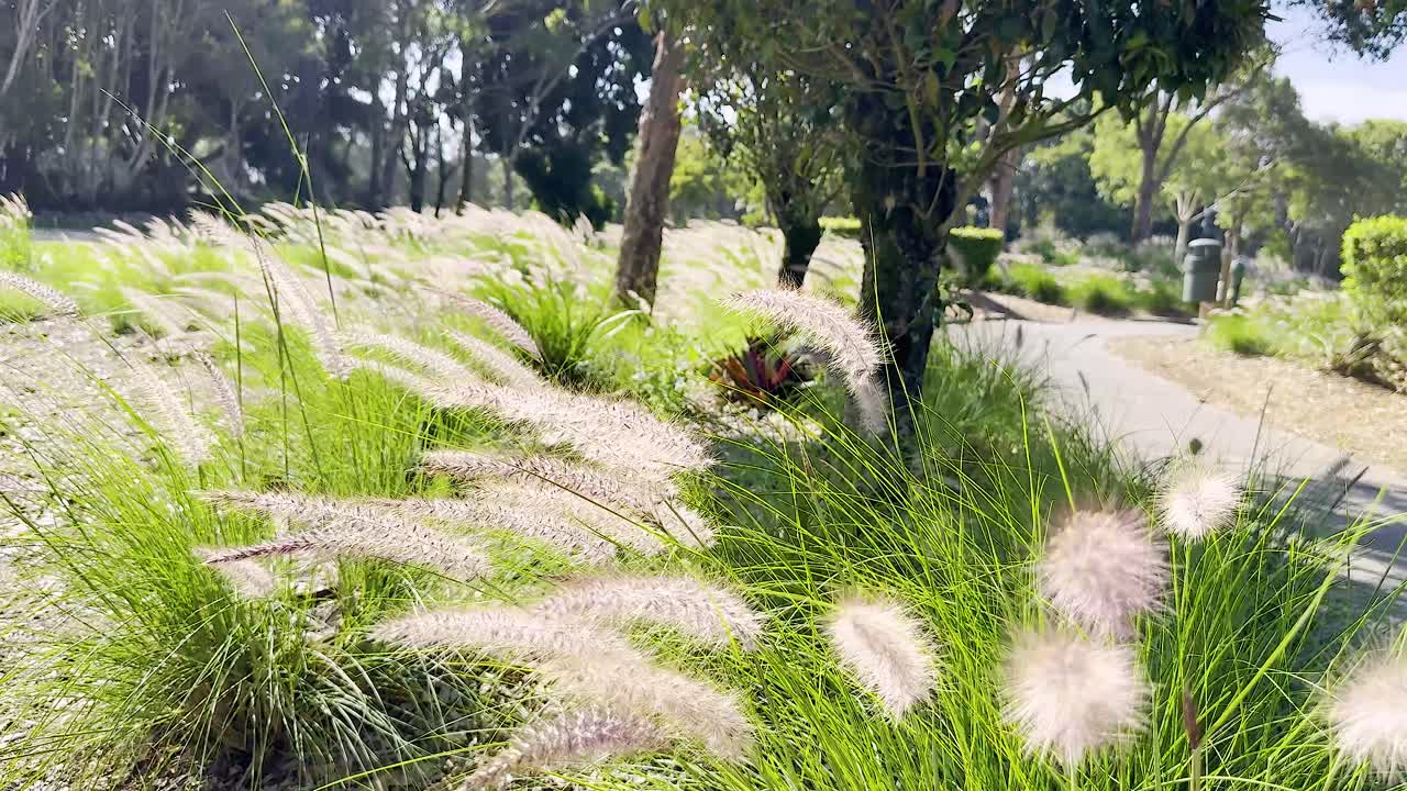 분수 풀이 부드럽게 바람에 흔들리고