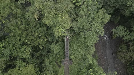 drone looks down onto people walking on dense jungle path bridge