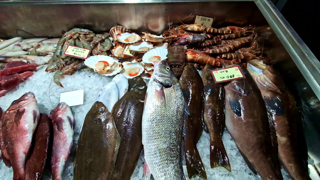 Fresh fish market, trout pike calamari mussels variety selection in ice