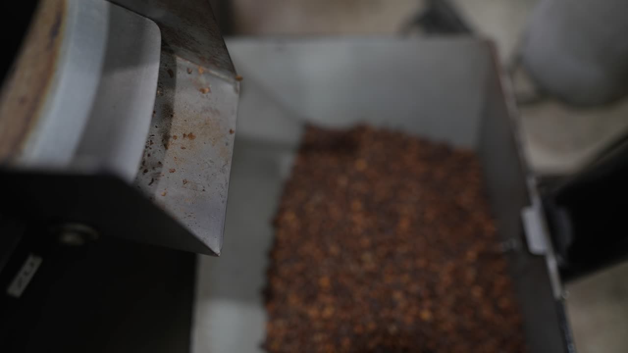 Coffee Bean Processing Machine