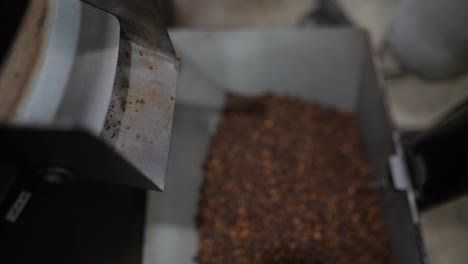 máquina de procesamiento de granos de café