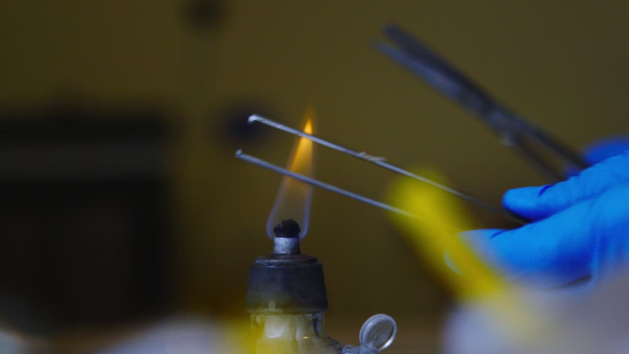 Blue glove holds tool above flame showing controlled biosecurity environment