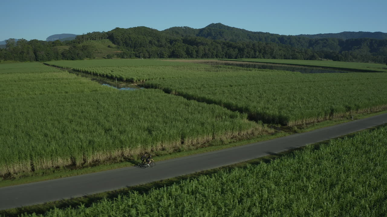 들판으로 둘러싸인 빈 도로에서 자전거를 타는 두 사람의 넓은 항공 사진