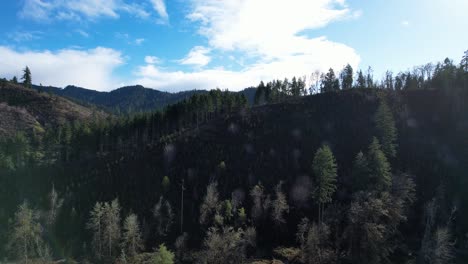 Hermoso-Dron-Aéreo-De-4k-Con-Vista-Al-Paisaje-De-árboles-En-El-Sur-De-Oregon