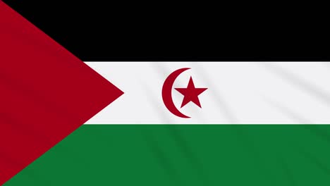 western sahara flag waving cloth, ideal for background, loop