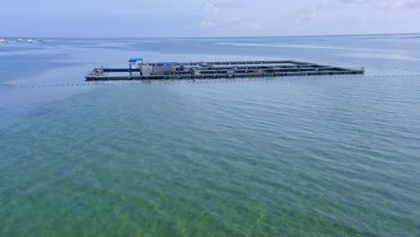 海豚島公園, 海豚保護區, 龐塔卡納