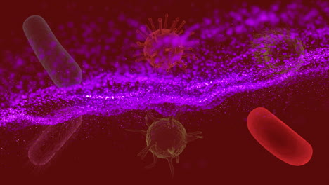 animación de la onda púrpura en las células en movimiento sobre fondo rojo