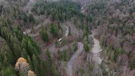 astonishing switchbacks road in green virgin forest in bucegi mountains, romania