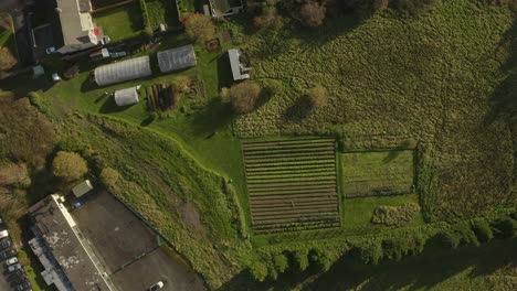 Community-garden-with-polytunnels-and-crop-fields