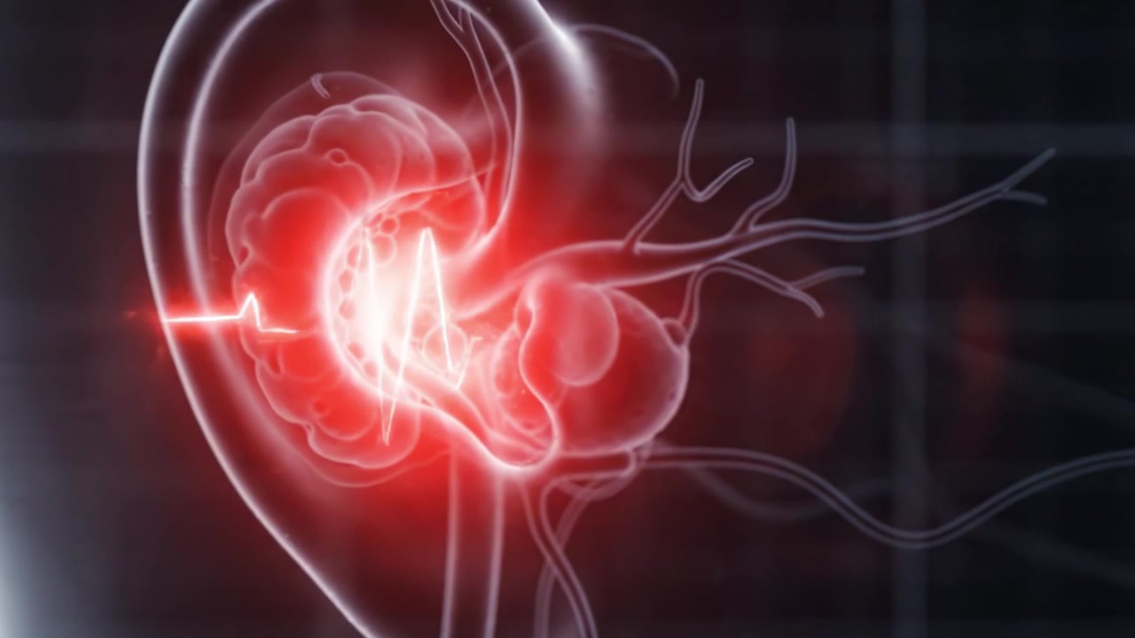 Visualizzazione della funzione dinamica del rene umano: una transizione mozzafiato dal blu sano al rosso di allarme con energia pulsante nel tempo.