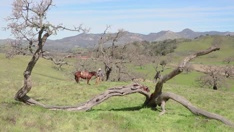 enmarcado con árboles caídos, el vaquero se baja de su caballo