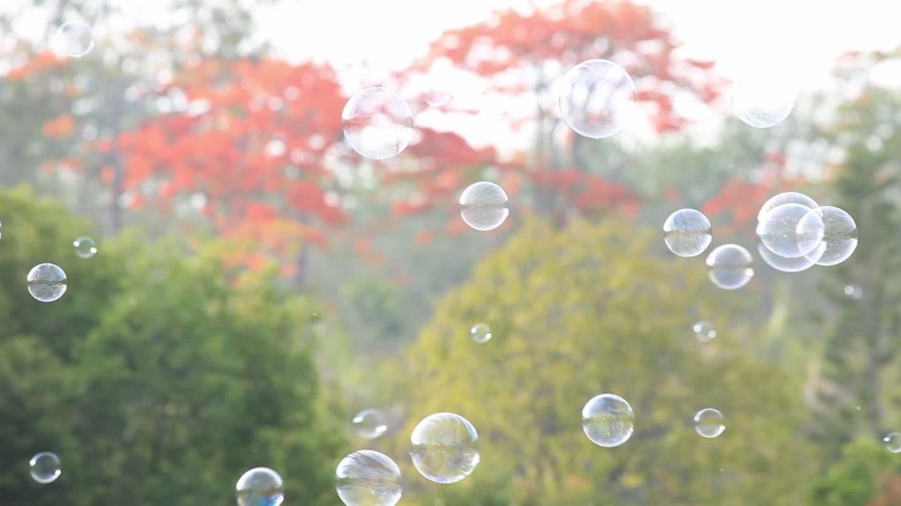 자연 녹색 흐릿한 보케 배경으로 공중에 떠다니는 비누 거품