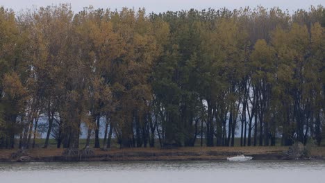 barco atracado en el lado del río danubio en galati, moldavia occidental, rumania con árboles otoñales en el fondo, plano general, estático