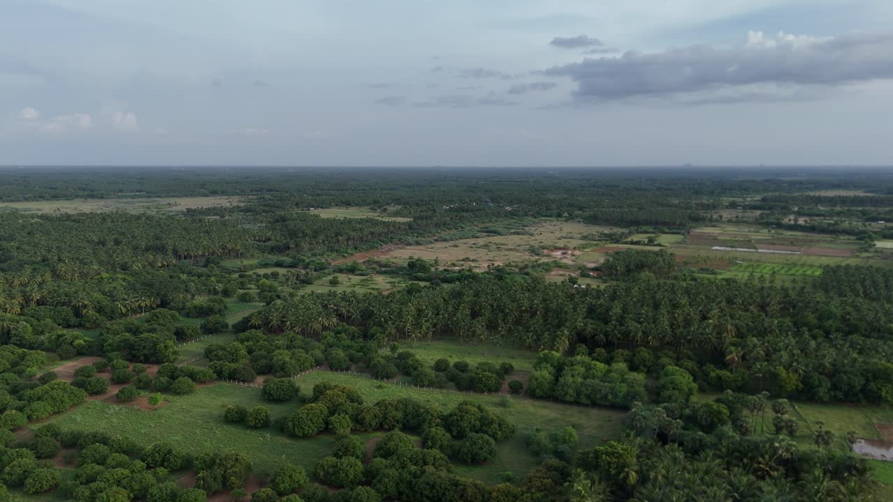 Open countryside in Sivagangai with large green patches