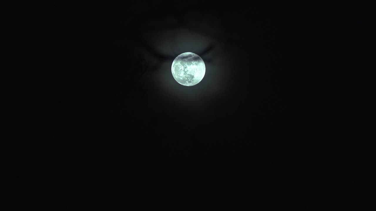 Lua cheia nascendo com galhos em silhueta em primeiro plano.