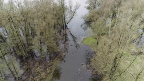 aerial drone shot of swamp with fallen down trees under water