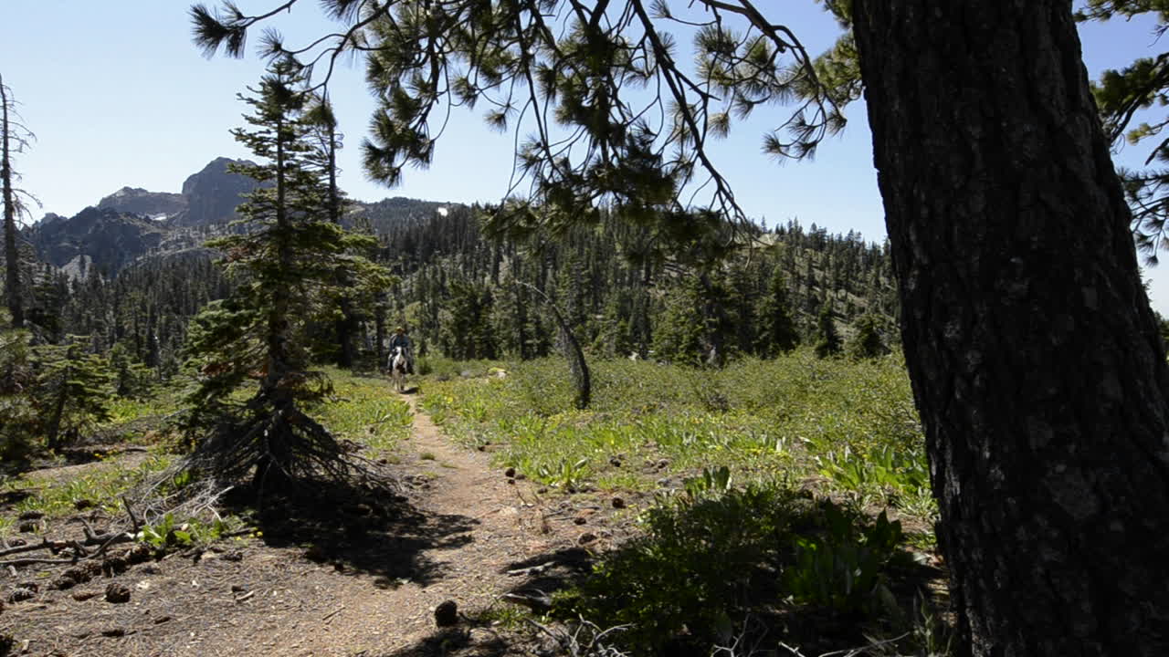 En mann rir hesten sin på Pacific Crest Trail nær Packer Lake Saddle ved Sierra Buttes i Tahoe National Forest, California.