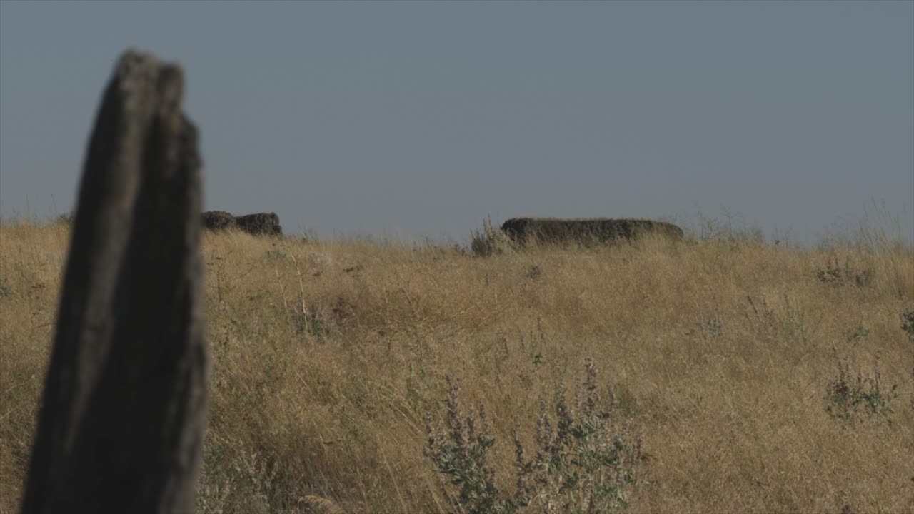 dry desert rocky grassland landscape. fence post blowing in the breeze