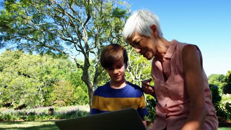 abuela y nieto usando portátil en el parque 4k