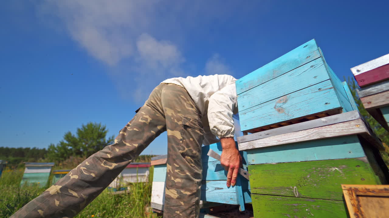 Beekeeper works with hives. Apiarist puts wooden boxes against blue sky in the apiary. Apiculture concept. View from below.