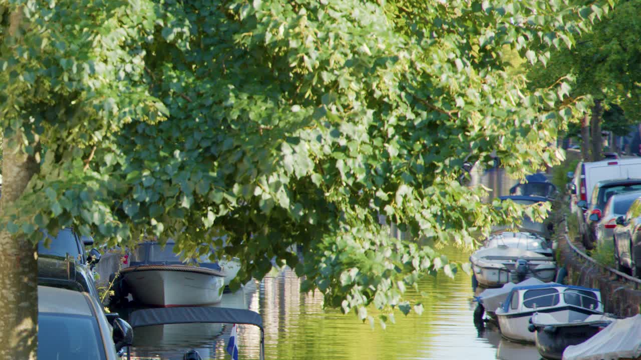 A leafy canal in Haarlem, Netherlands, lined with parked boats and cars, captured in bright daylight with a static camera and lush green foliage