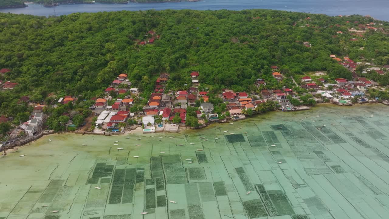 Veduta aerea di un'alba dorata sulle piantagioni di alghe e agricoltori a Nusa Lembongan, Indonesia, con barche tradizionali che galleggiano sulle pittoresche acque costiere