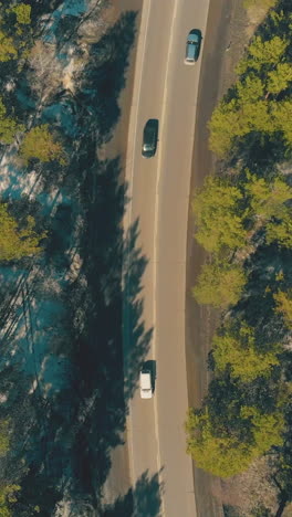 cars drive fast along brown roadway and cross evergreen forest with thin pine trees growing on snowy ground aerial view