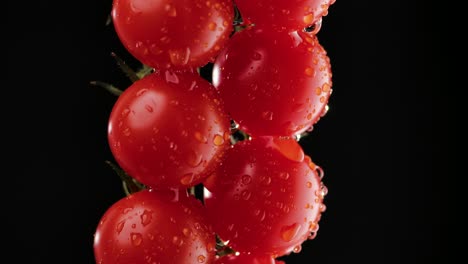 water droplets on fresh cherry tomatoes