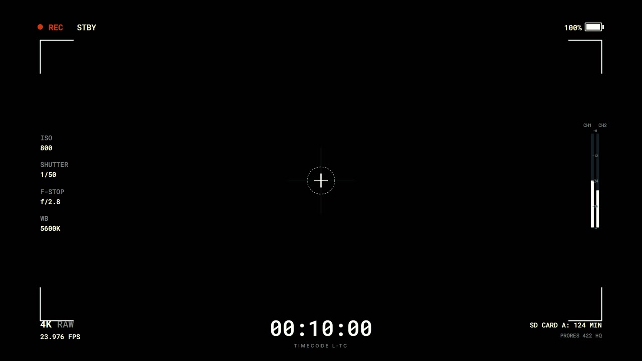 Digital Camera Viewfinder Interface Overlay