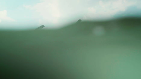 couple wearing goggles at the sea