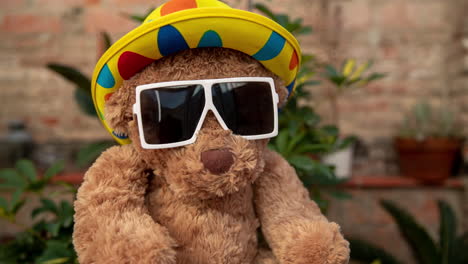 oso de peluche con sombrero de fiesta y gafas de sol