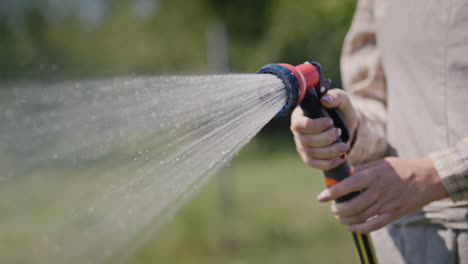 Gardener-sprays-water-from-a-garden-hose