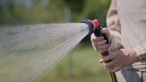 gardener sprays water from a garden hose