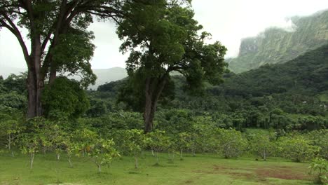 Landschaft-Von-Raiatea,-Französisch-Polynesien