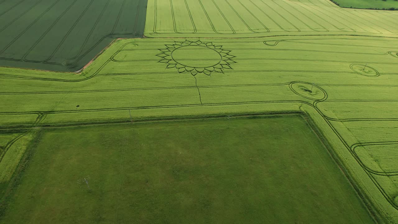 volar sobre un campo de trigo verde con círculo de flores de cosecha cerca de la aldea de potterne, condado de wiltshire, inglaterra