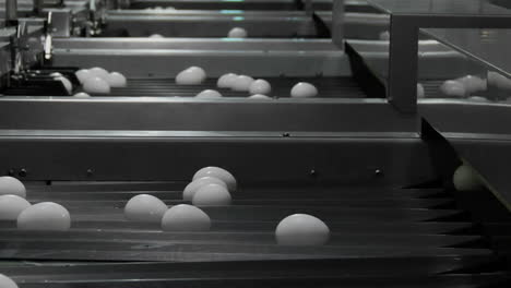 white eggs move through chutes on a factory conveyor belt