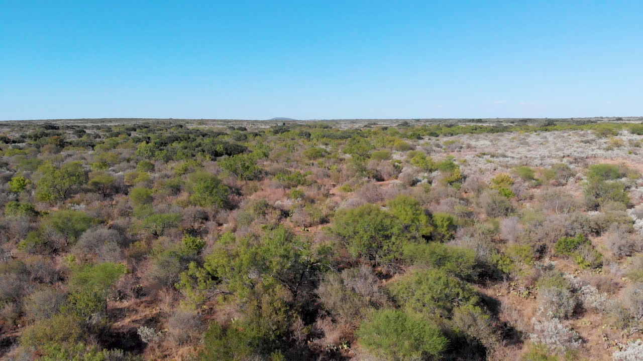 Drone shot flying over south Texas landscape, brush country