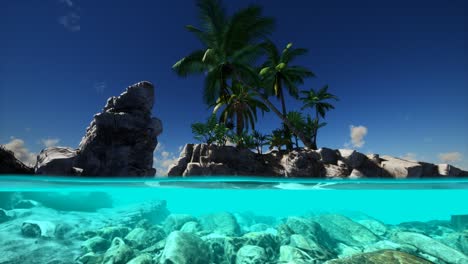 vista dividida de la sección transversal de agua de mar y palmeras en la isla