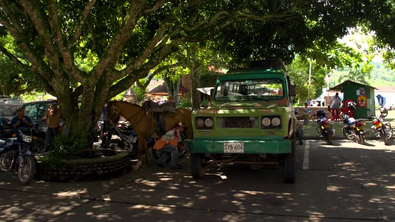 Rural street scene with a horse and green truck under a large tree in a sunny town