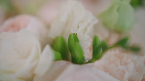 gentle white flowers and small leaves arranged in bouquet