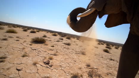 elephant kicking up dust in a dry desert landscape