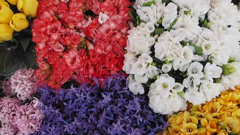 colorful spring flowers display