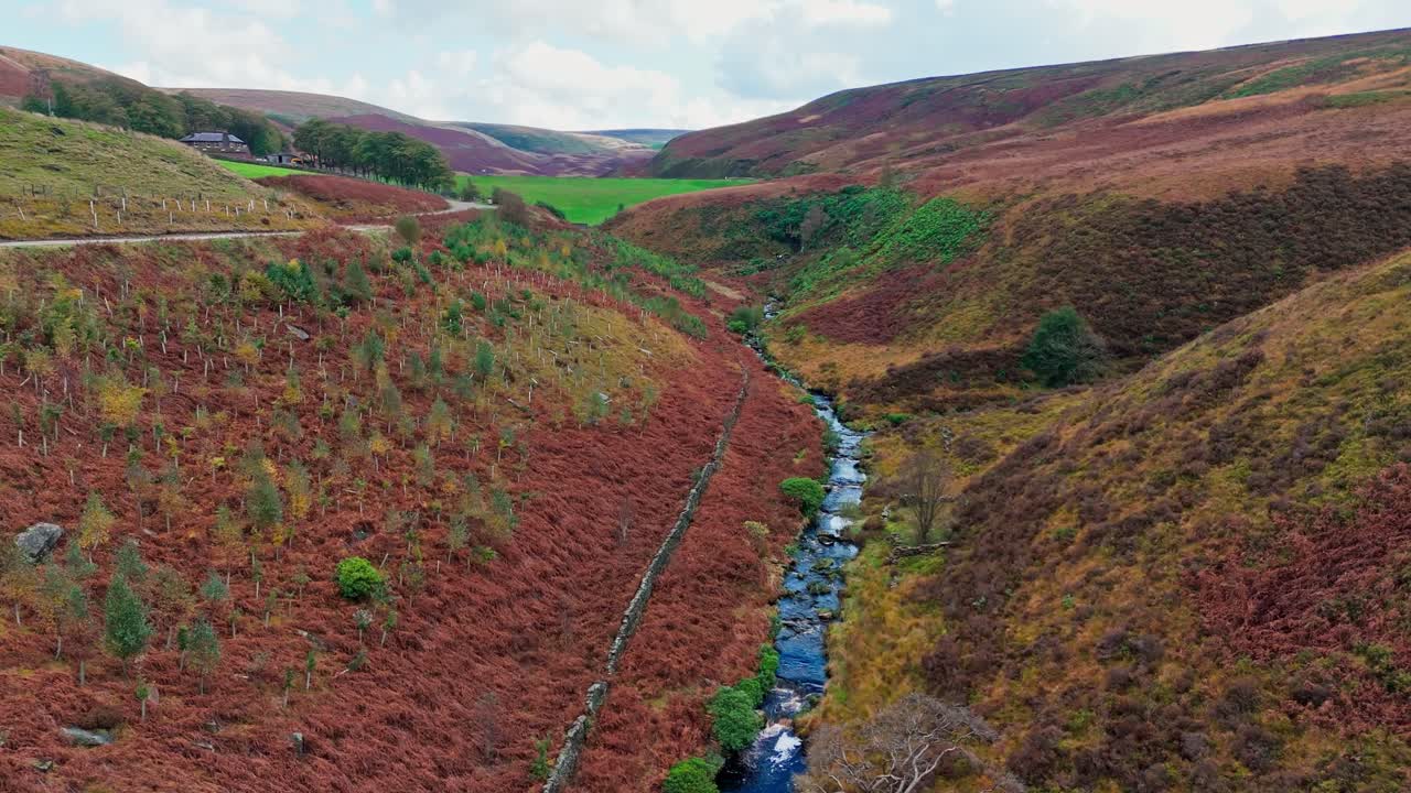 느리게 움직이는 모어랜드 하천은 페닌 모어에서 부드럽게 흐르고, 작은 폭포, 강 및 헤더 인 계곡과 함께 항공 드론 비디오