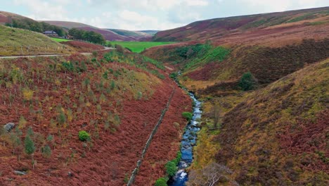 Slow-moving-moorland-stream-flowing-gently-on-the-Pennine-moors,-aerial-drone-video-with-small-waterfalls,river-and-heather-covered-valley