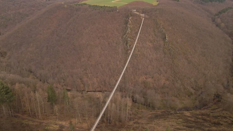 Vista aerea orbitante di un lungo ponte sospeso su una foresta decidua spoglia