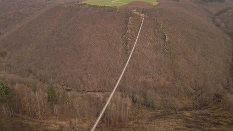 Vista-Aérea-En-órbita-De-Un-Largo-Puente-Colgante-Que-Cuelga-Sobre-Un-Bosque-Caducifolio-Sin-Hojas